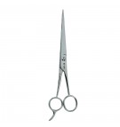 Stainless steel professional scissors