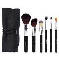 Professional Make up kit, 6 brushes