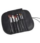Professional Make up kit, 6 brushes